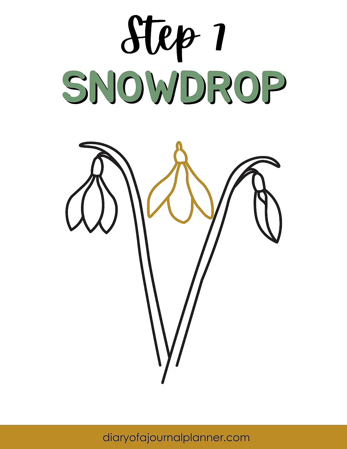 Illustration of a snowdrop flower drawing tutorial, step 1 with outlines on a white background.