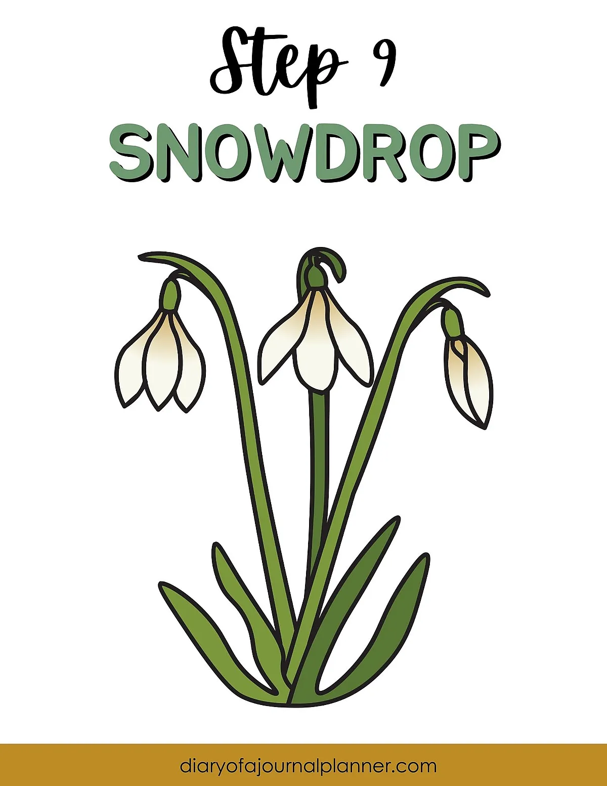 Step-by-step snowdrop drawing tutorial for journals and planners - simple flower illustration guide.