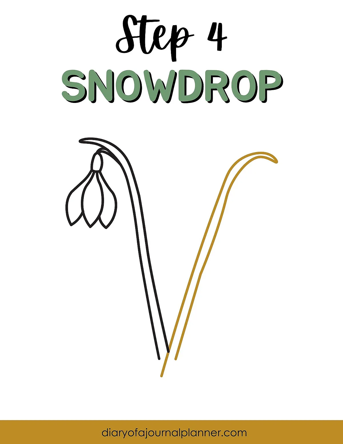 Step 4: Snowdrop drawing tutorial with simple illustration and guide text on white background.