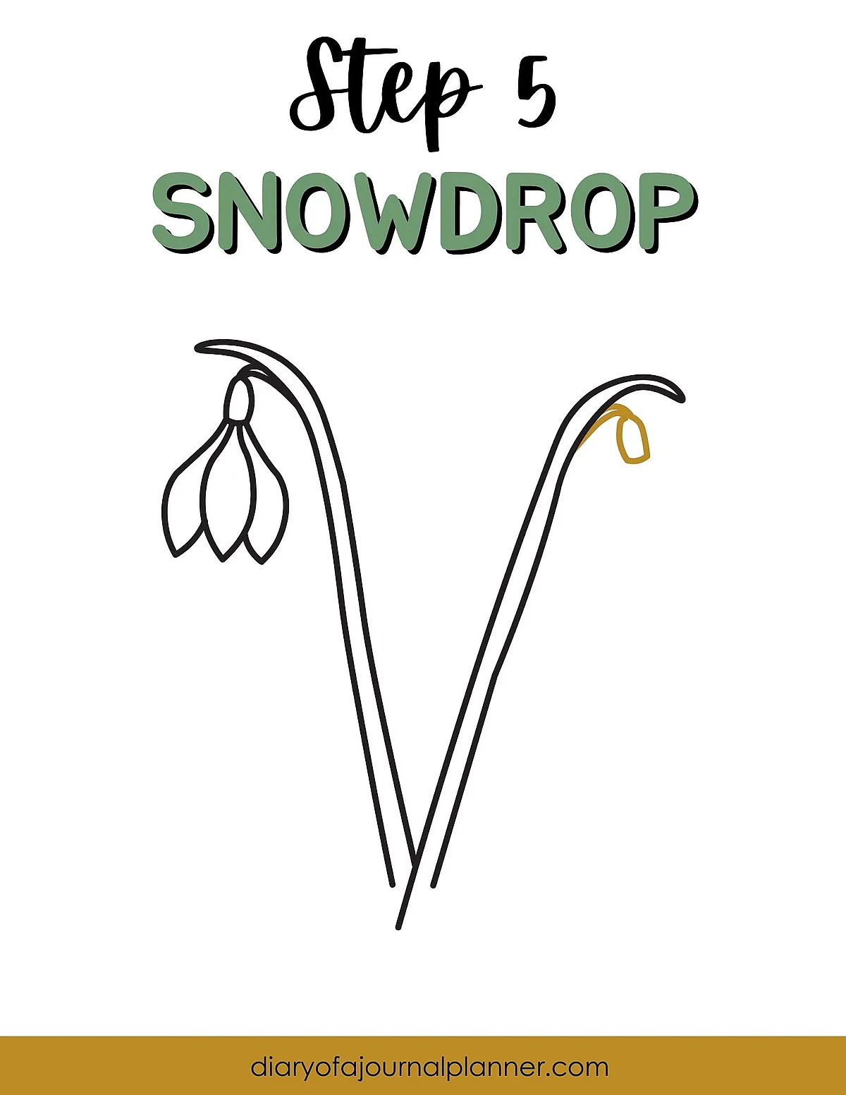Step-by-step tutorial for drawing a snowdrop flower with simple lines and minimalistic design.