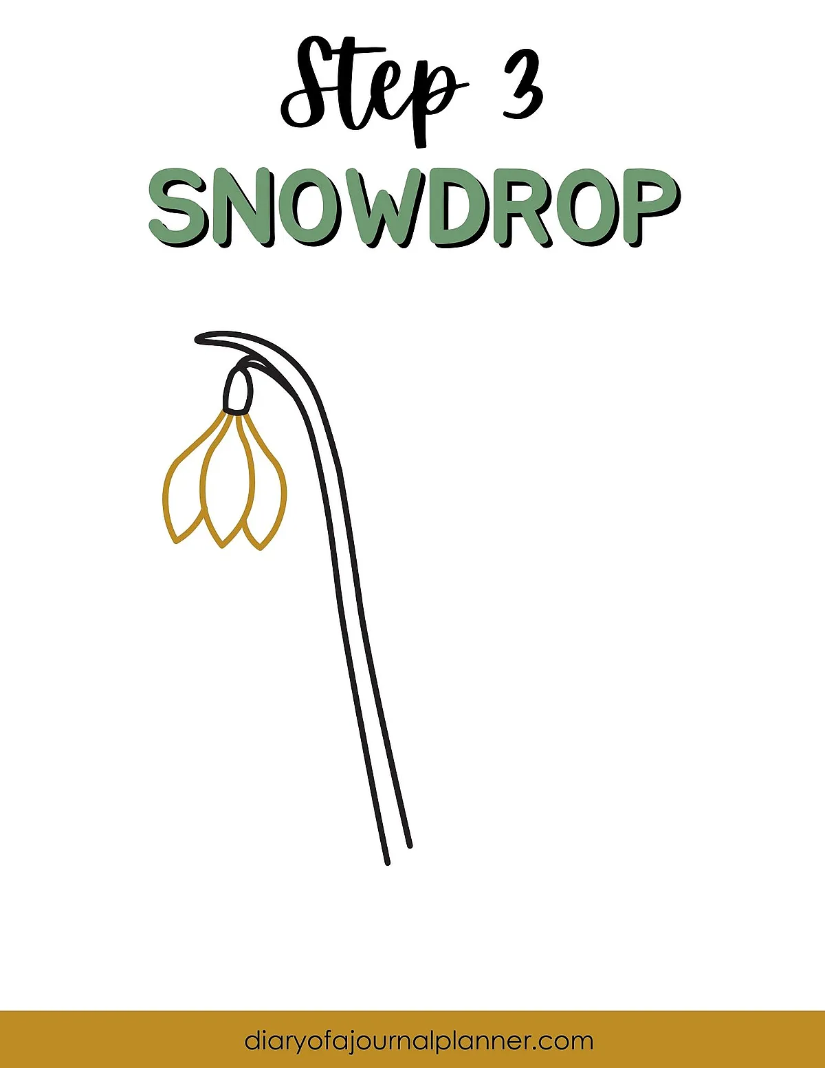 Step 3 illustration showing how to draw a simple snowdrop flower sketch.