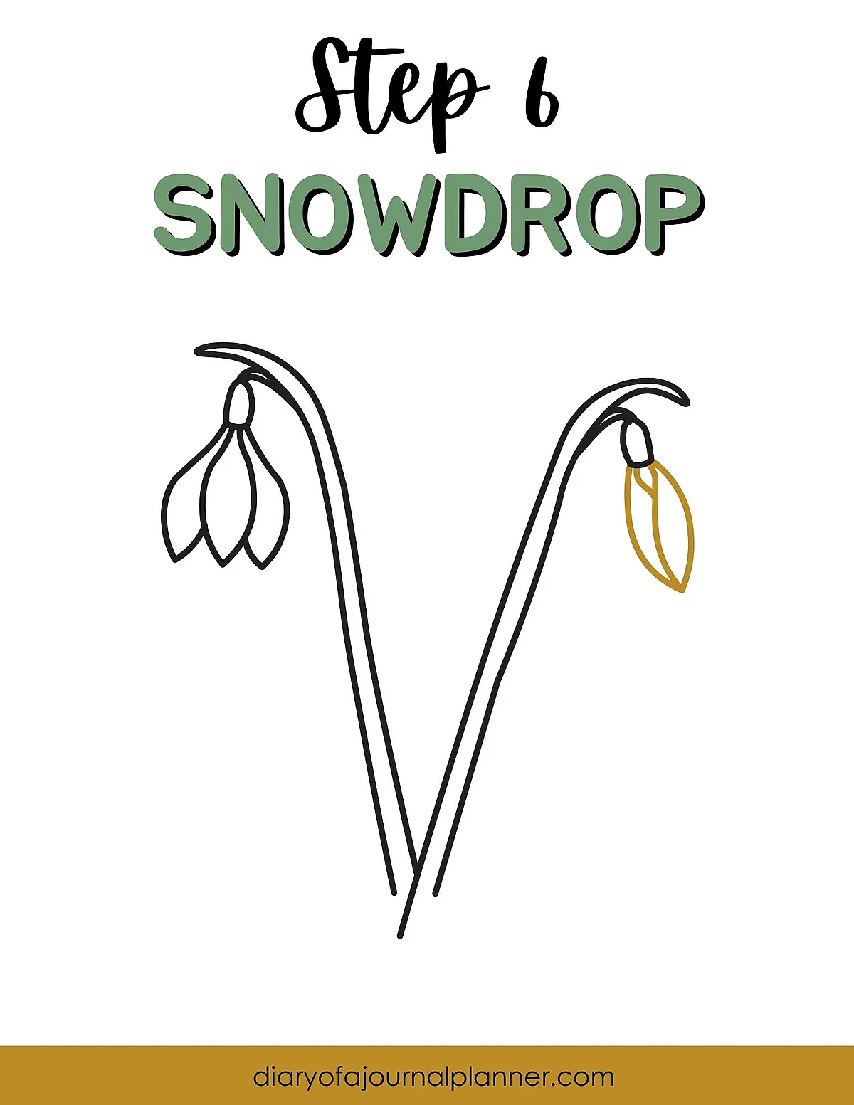 Illustration of Step 6 in drawing a snowdrop flower, showcasing simple line art of two snowdrop stems and buds.