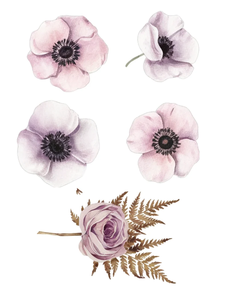 Watercolor illustration of pink and purple anemone flowers and a rose with fern leaves on a white background.