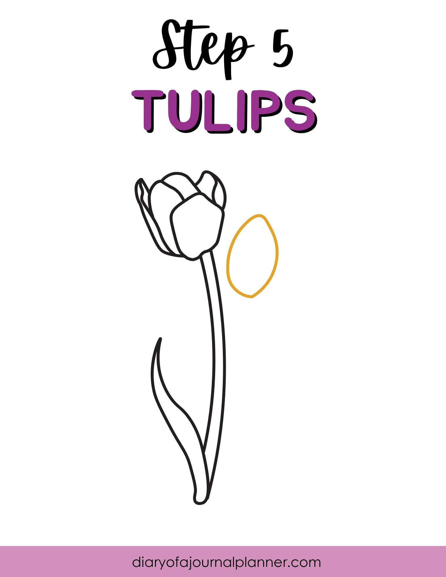 Step 5 guide to drawing tulips with a simple line art illustration and outline accent.