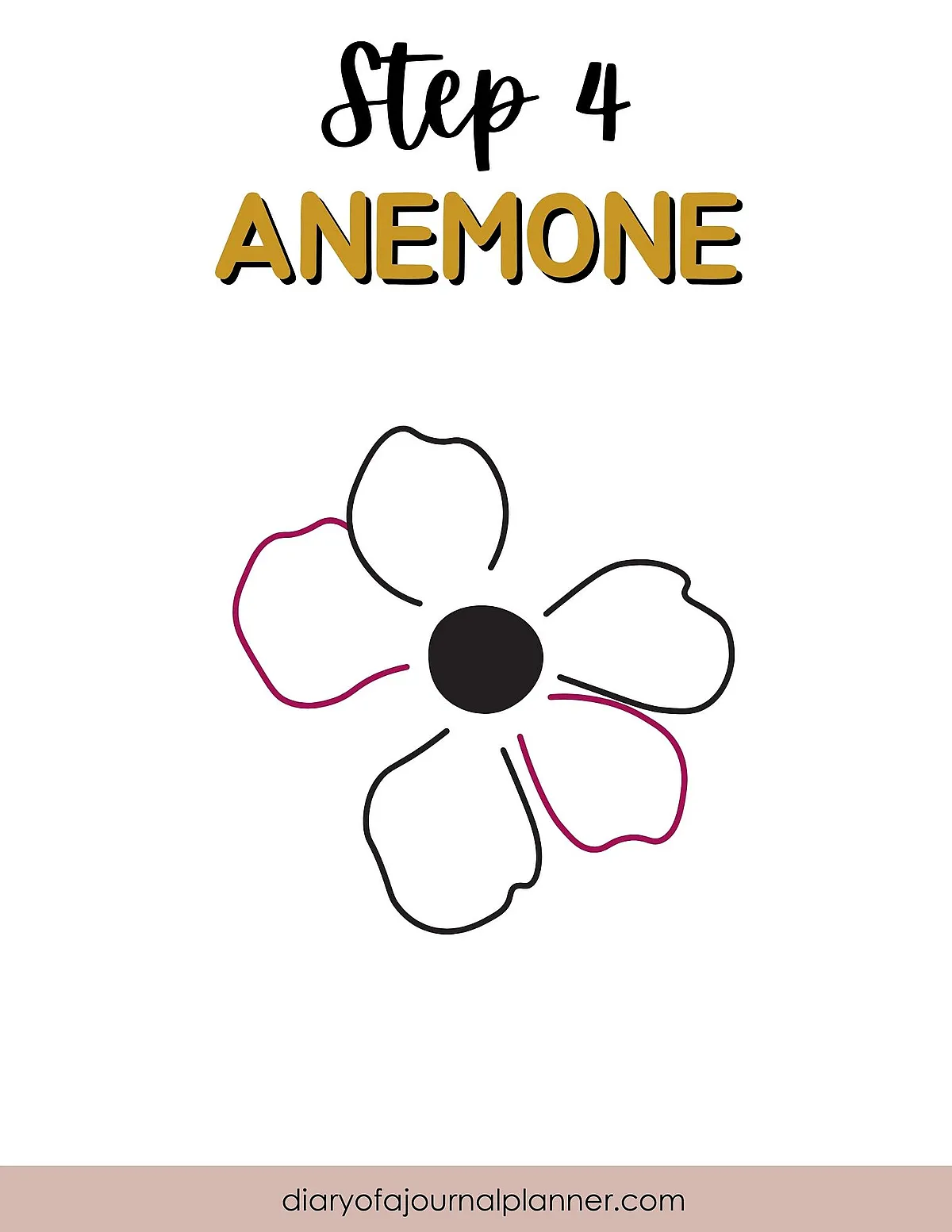Instructional drawing of an anemone flower, step 4, showing outlined petals.