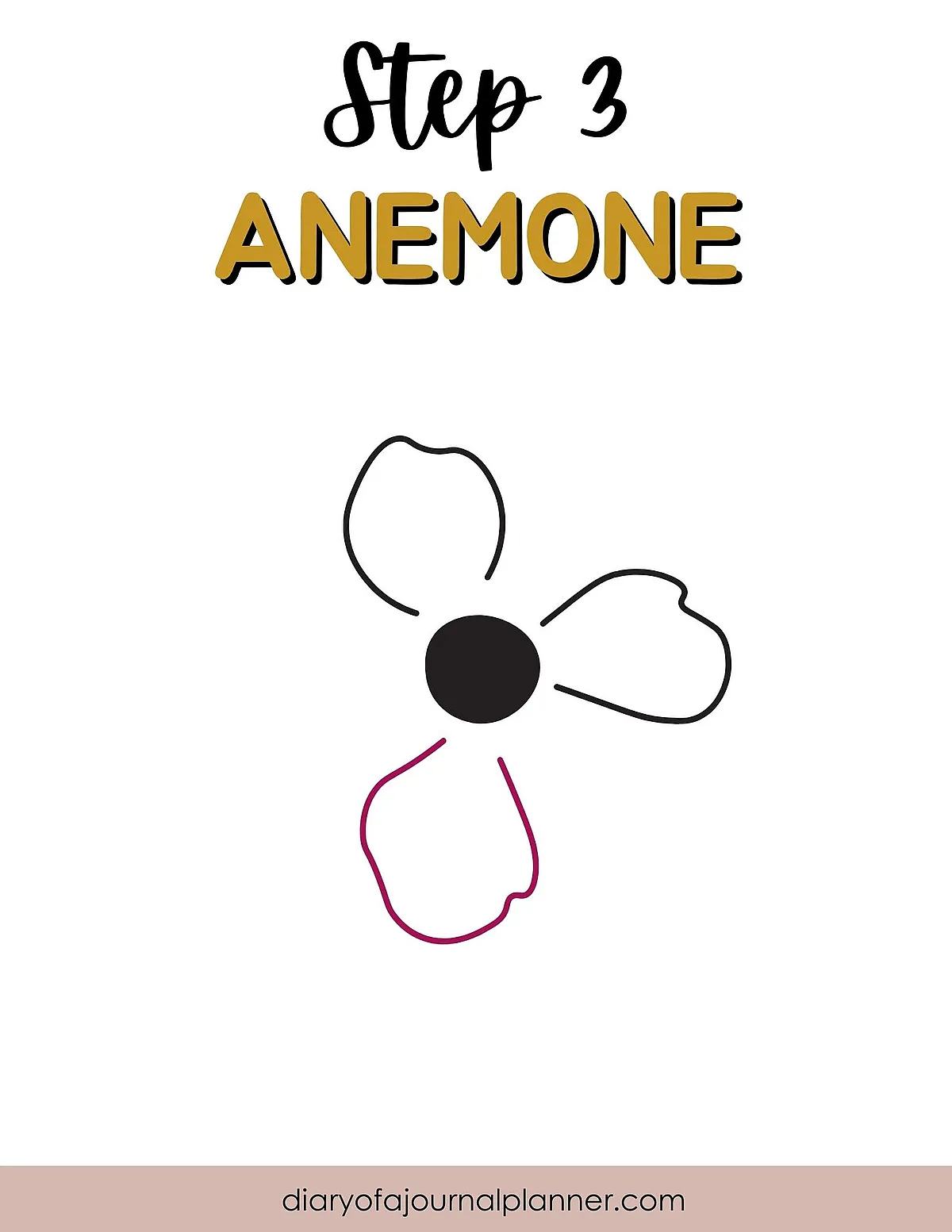 Step 3 of drawing anemone flower with three petals, bold center, simple line art style.