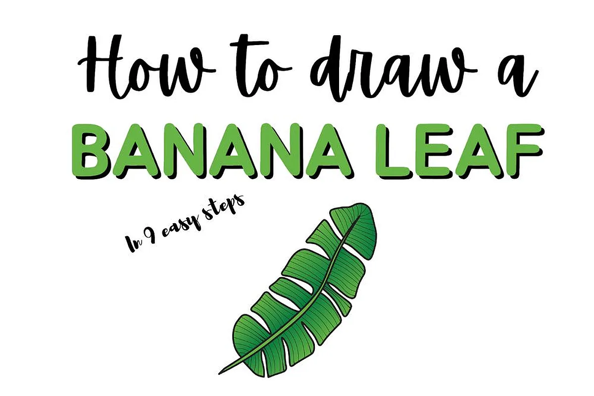 Illustrated guide on how to draw a banana leaf in 9 easy steps, featuring a graphic of a green banana leaf drawing.