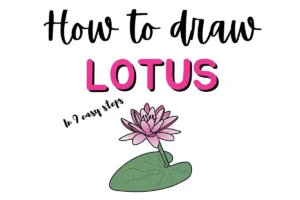 Guide: How to Draw a Lotus Flower Drawing in 9 Easy Steps with Illustration