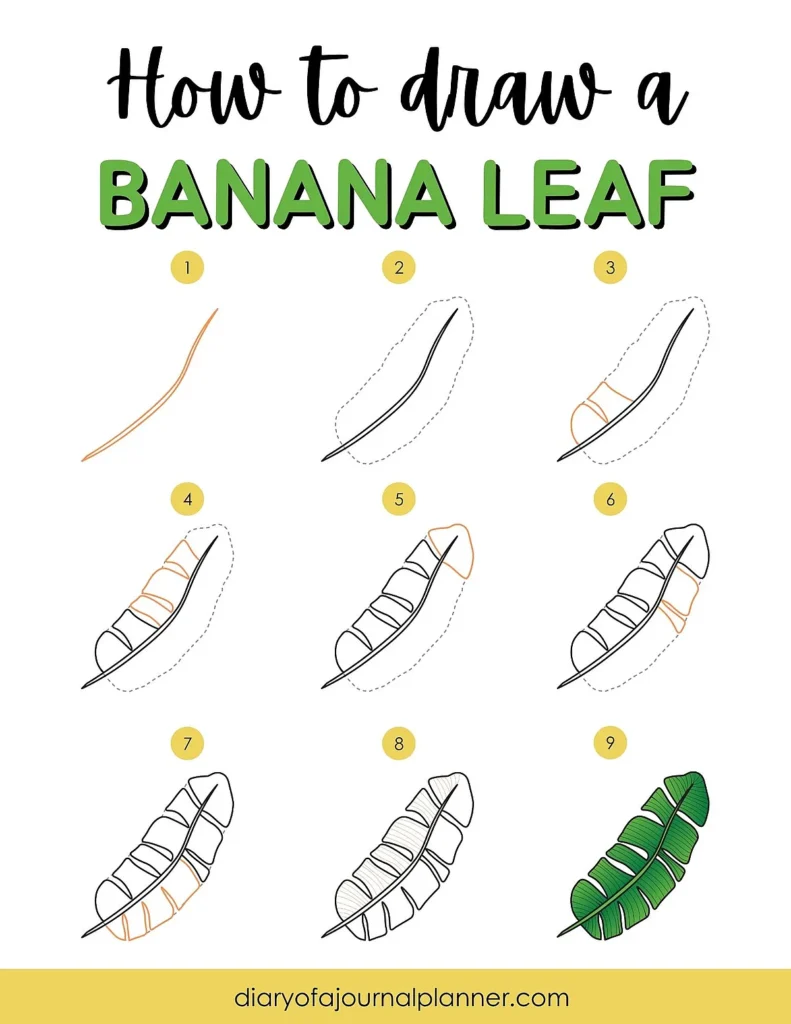 Step-by-step guide to drawing a banana leaf with nine illustrated stages.