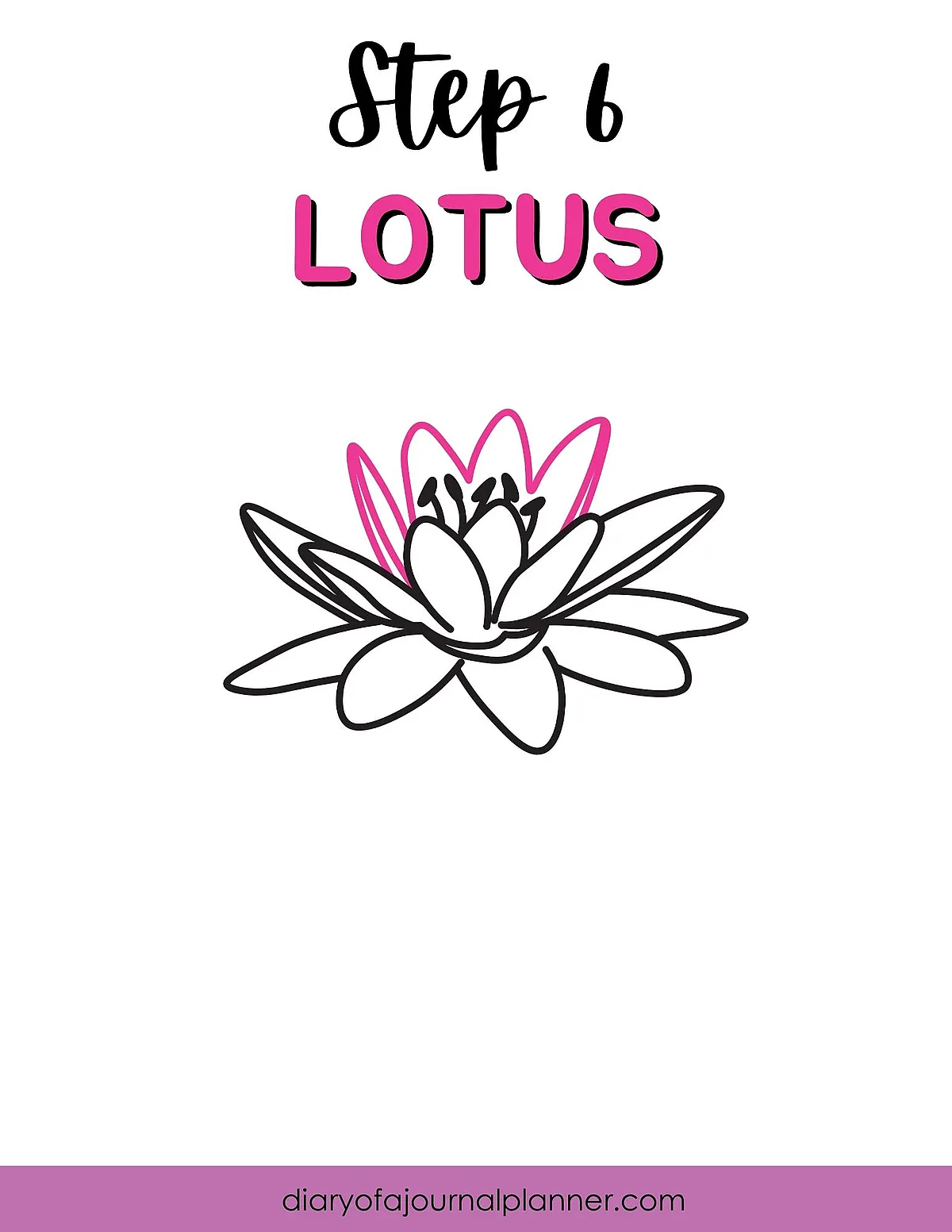 Step 6 in lotus drawing tutorial with black outline and pink accents for easy learning.