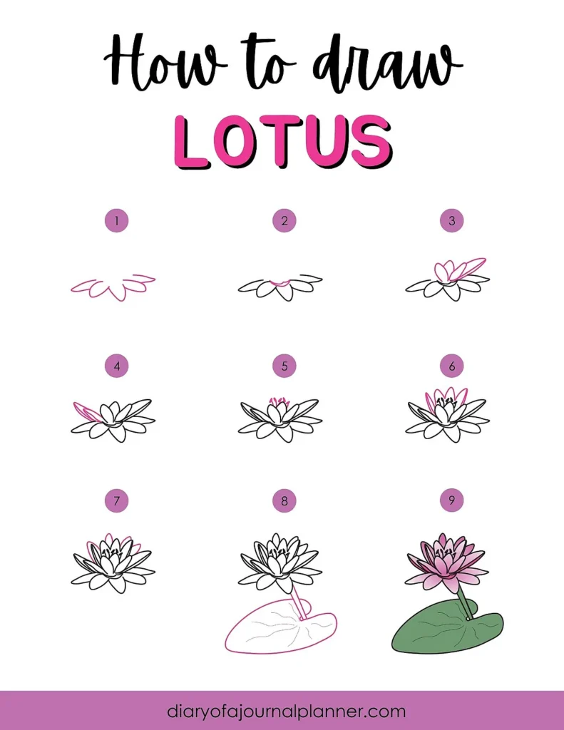 Step-by-step guide on how to draw a lotus flower with illustrations, from petals to complete bloom.