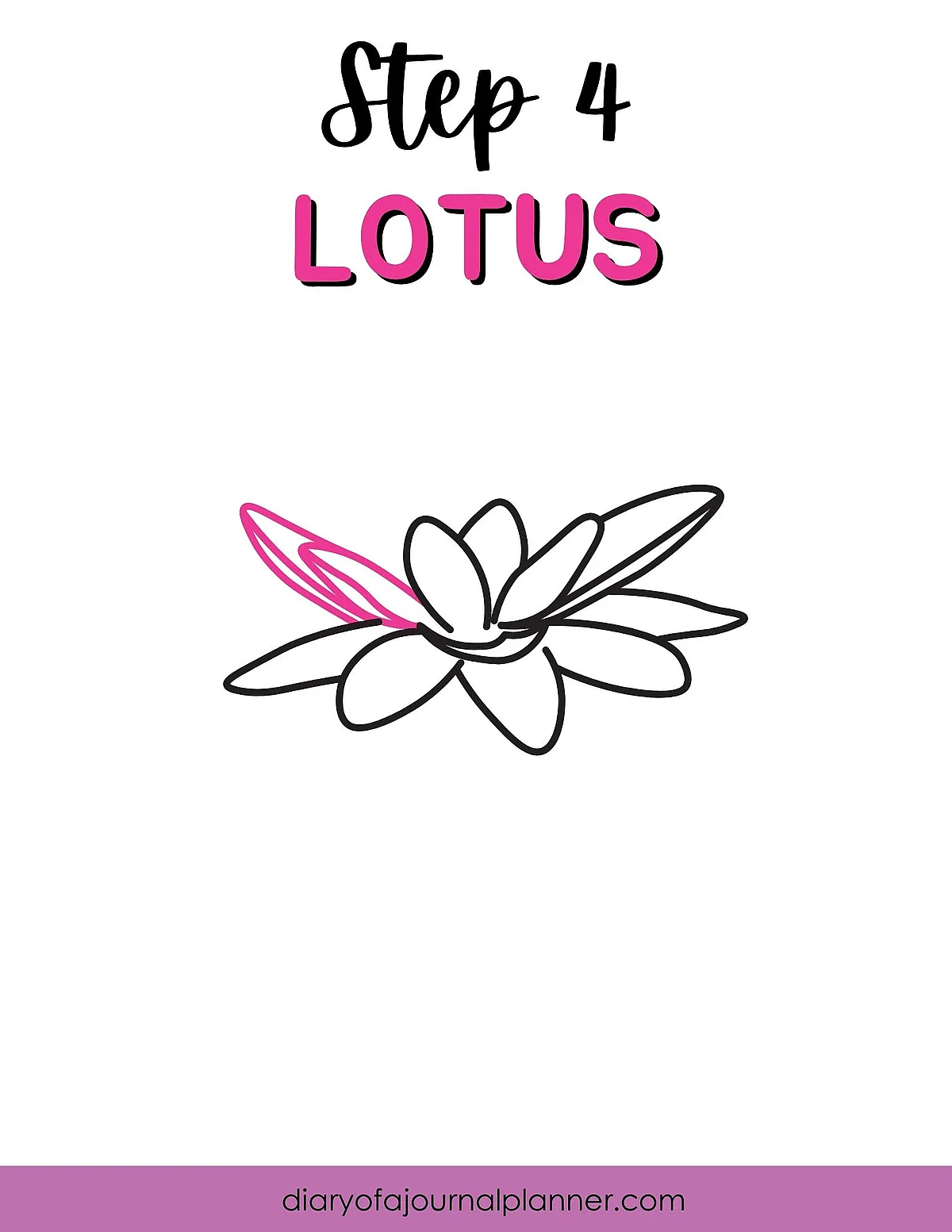 Line drawing tutorial of a lotus flower, step 4, with colored petal detail.