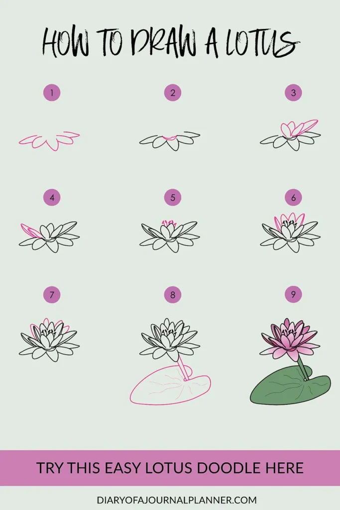 Step-by-step guide to drawing a lotus flower, featuring nine easy stages.