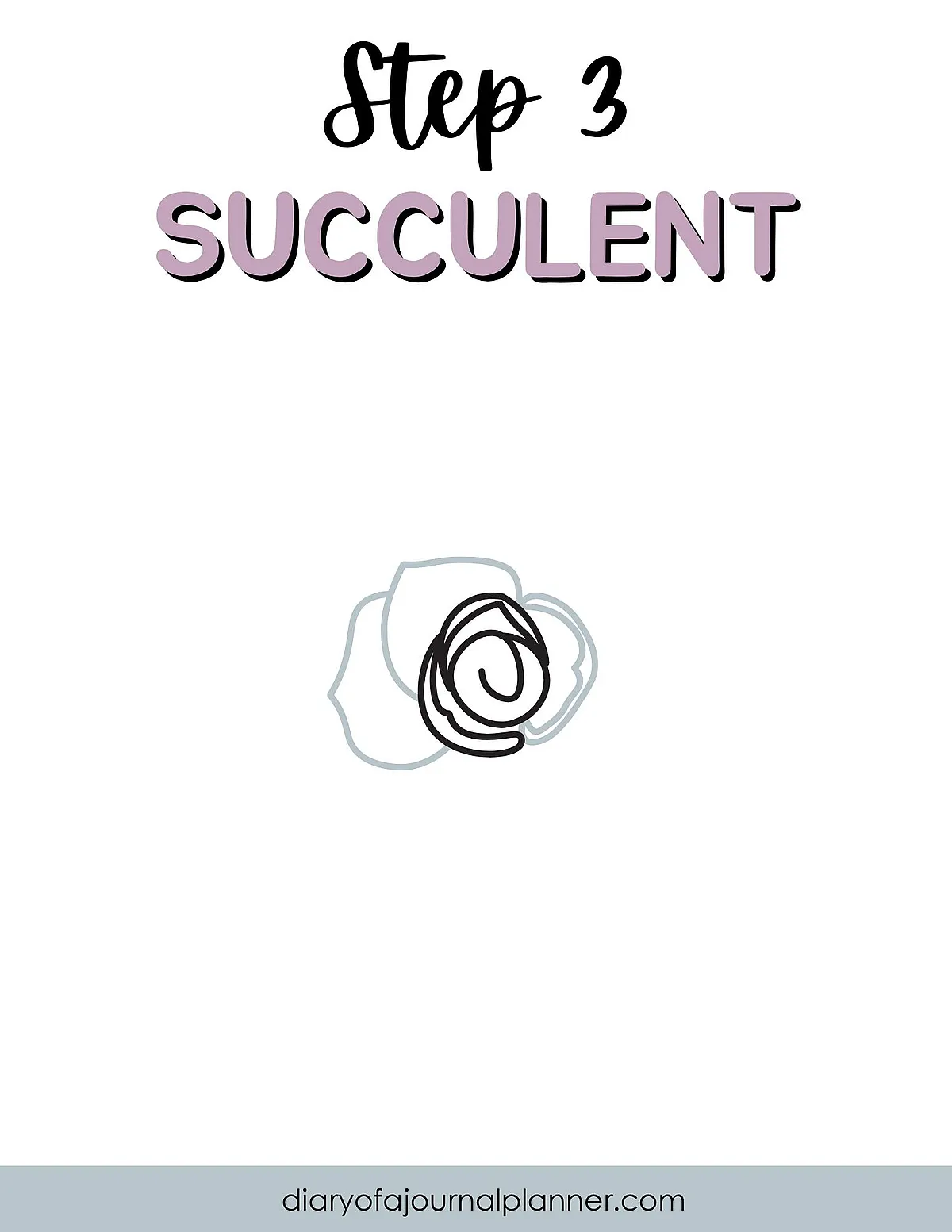 Step 3: How to Draw a Succulent - Simple Outline Guide for Beginners