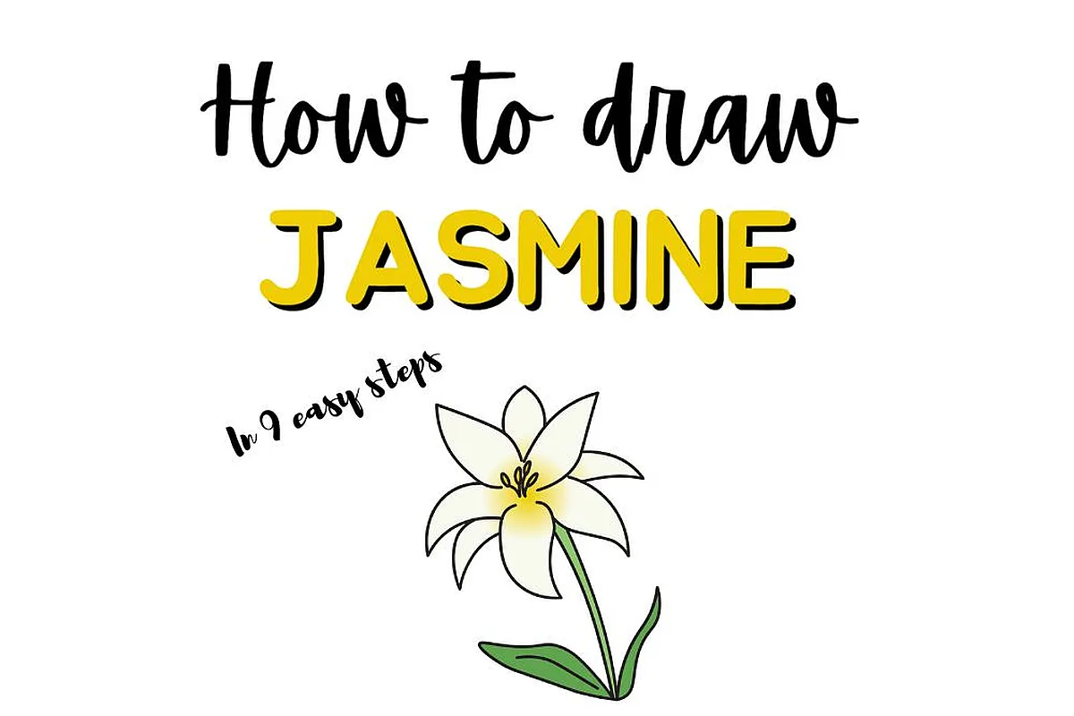 Step-by-step guide: How to draw a jasmine flower in 9 easy steps with illustration.