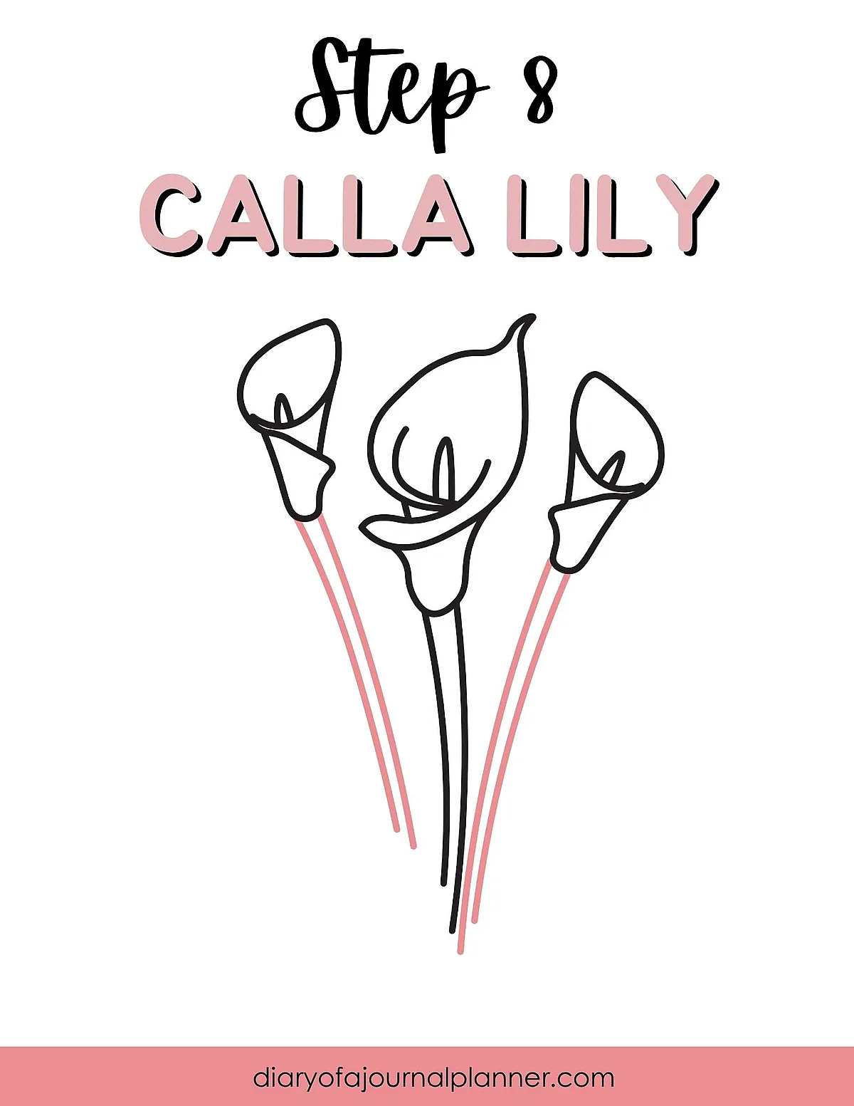 Step 8: Simple calla lily drawing guide with three outlined calla lilies for easy sketching and journaling.