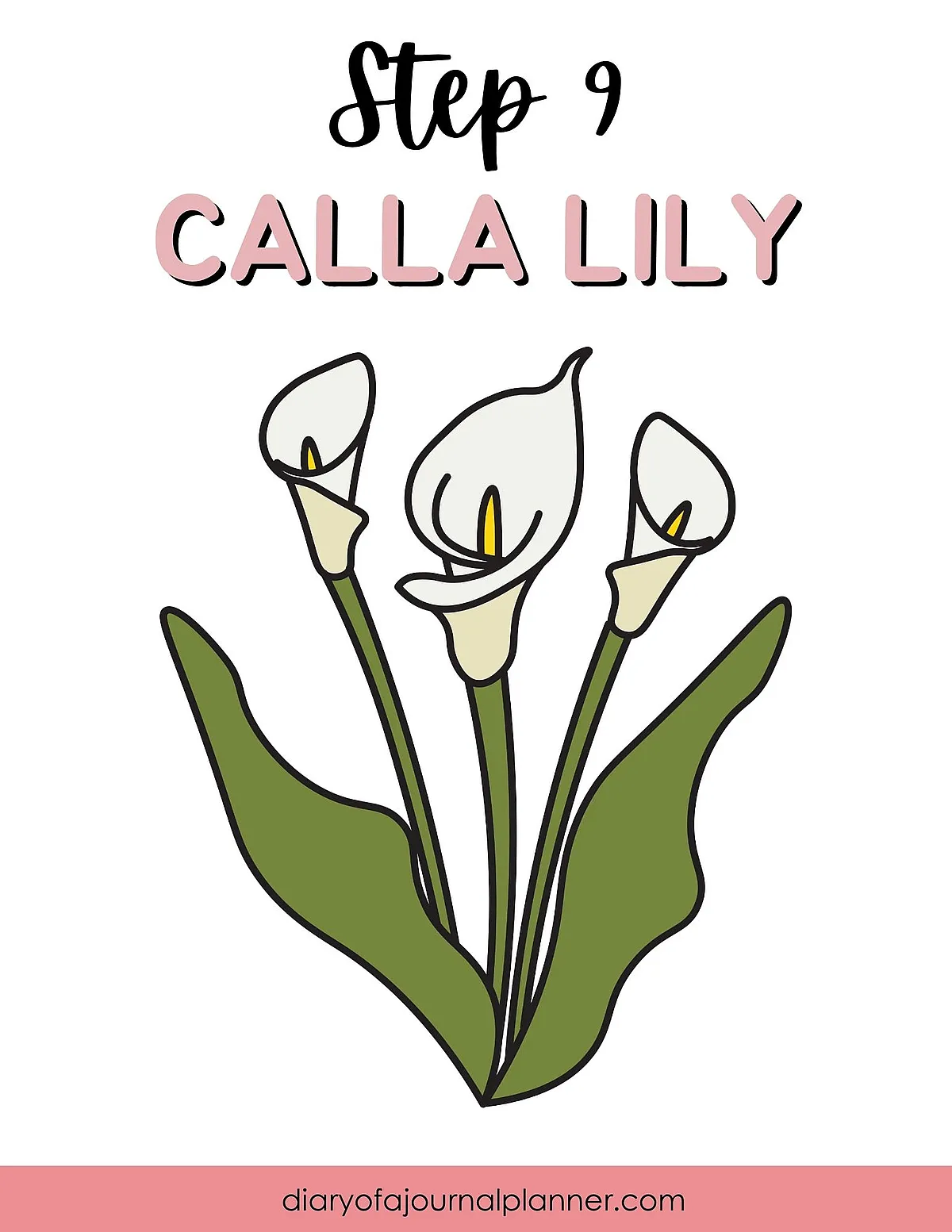 Illustrated calla lilies with large green leaves on a white background, labeled Step 9 Calla Lily.