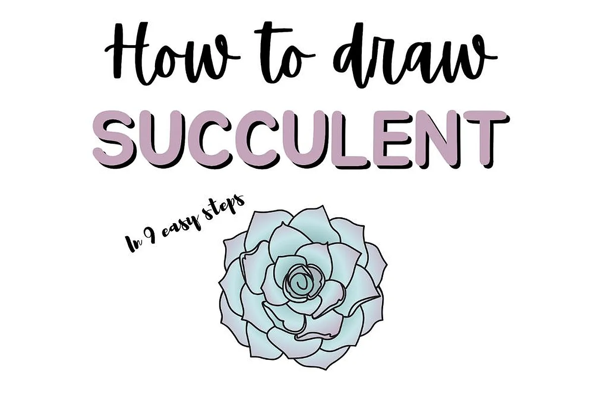Guide: How to draw a succulent drawing in 9 easy steps, featuring an illustration of the plant.