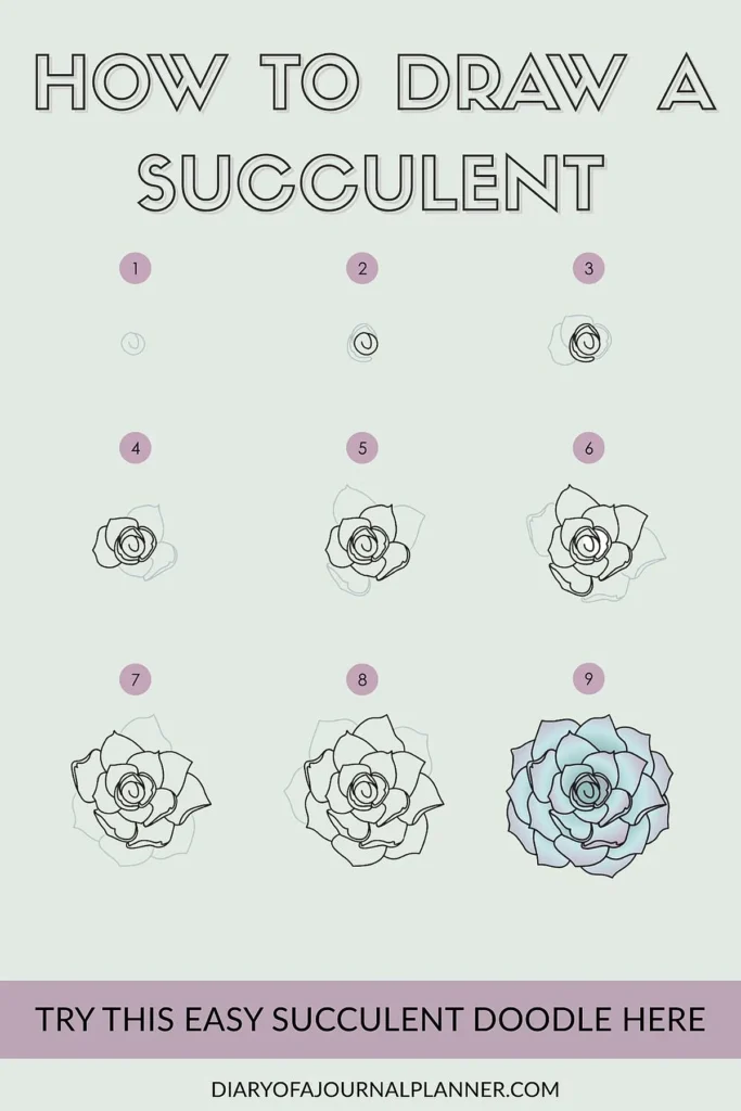 Step-by-step guide to drawing a succulent, showing nine stages of sketching with coloring.