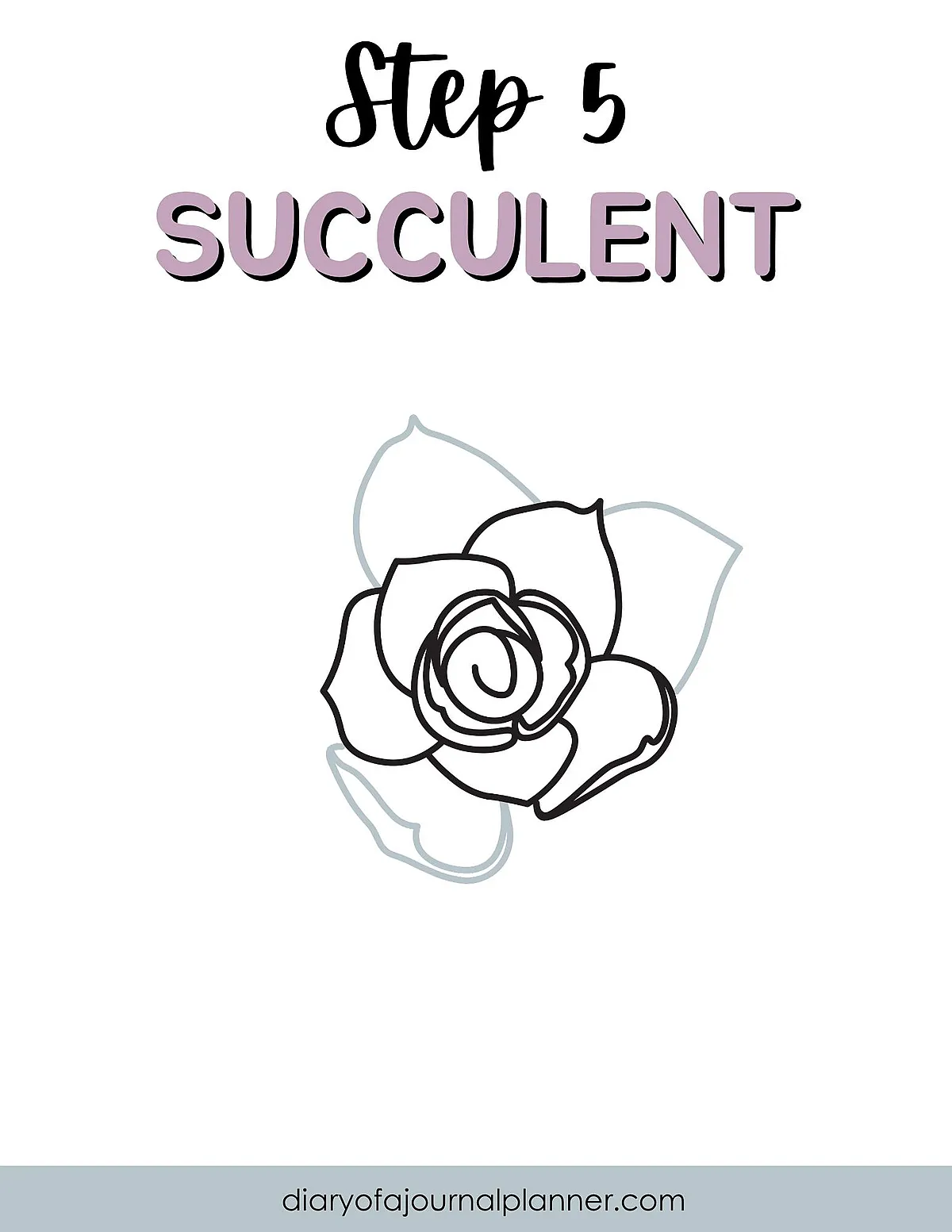 Step 5 of succulent drawing guide featuring a simple outlined succulent illustration.