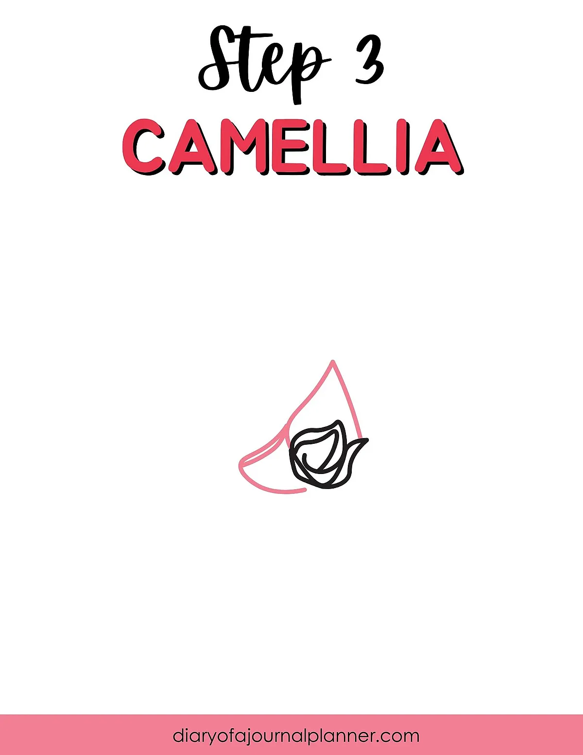 Step 3 of drawing a camellia flower, showcasing petal outlines, guide for beginners in floral sketching.
