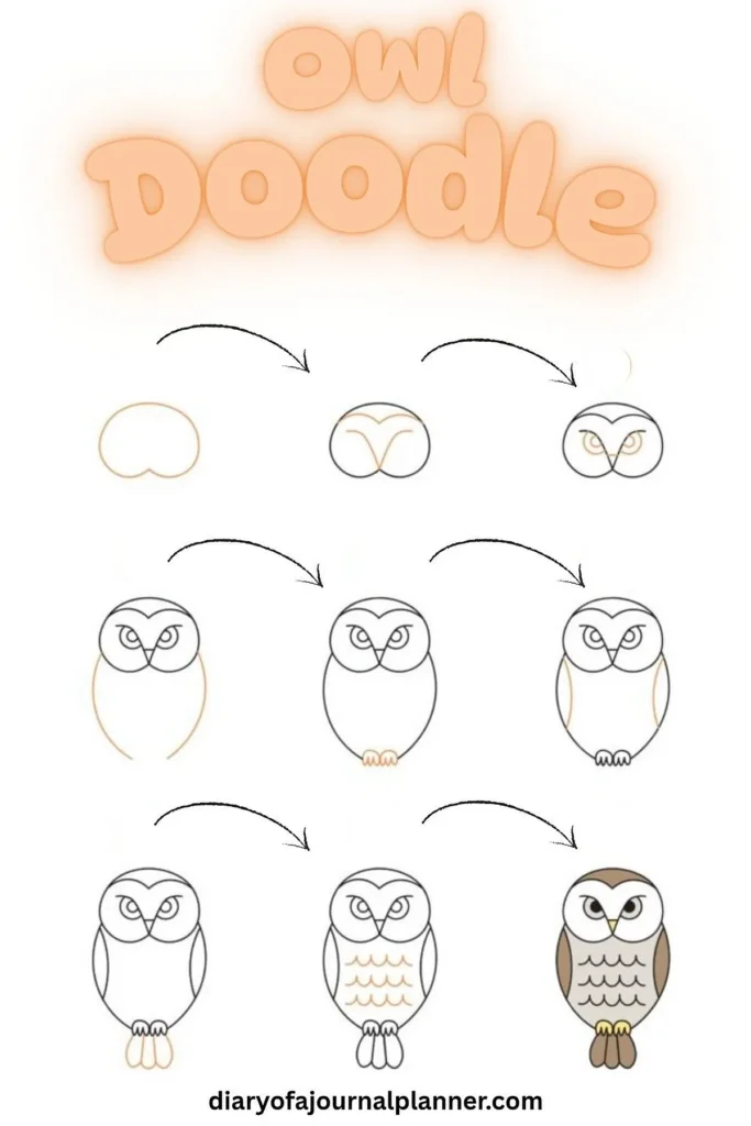 Step-by-step guide on doodling an owl, showing outline to detailed sketch transformation.