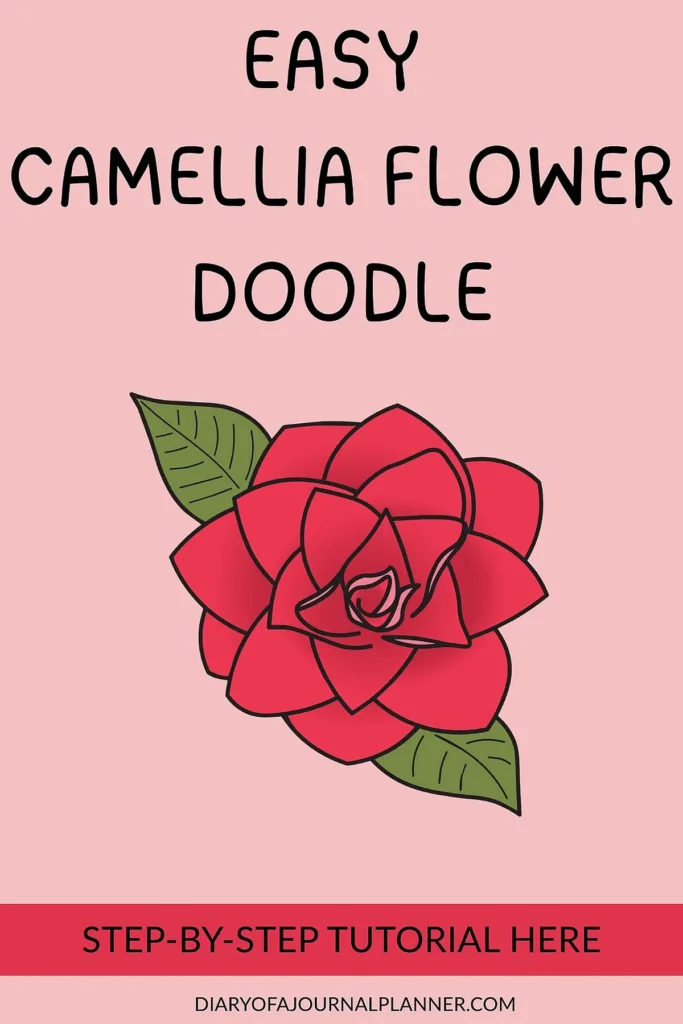 Simple camellia flower doodle with step-by-step tutorial on pink background. Easy drawing guide.
