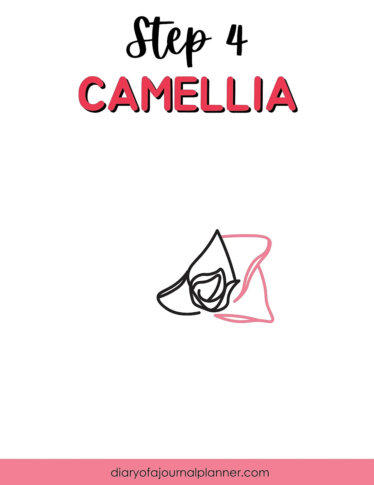 Step 4 of drawing a camellia flower, featuring simple black outlines with a pink accent petal.