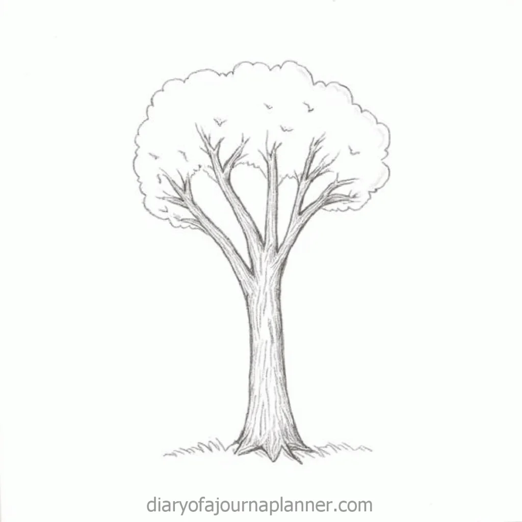 Simple sketch of a tree with detailed branches and leaves, perfect for drawing tutorials or nature illustrations.