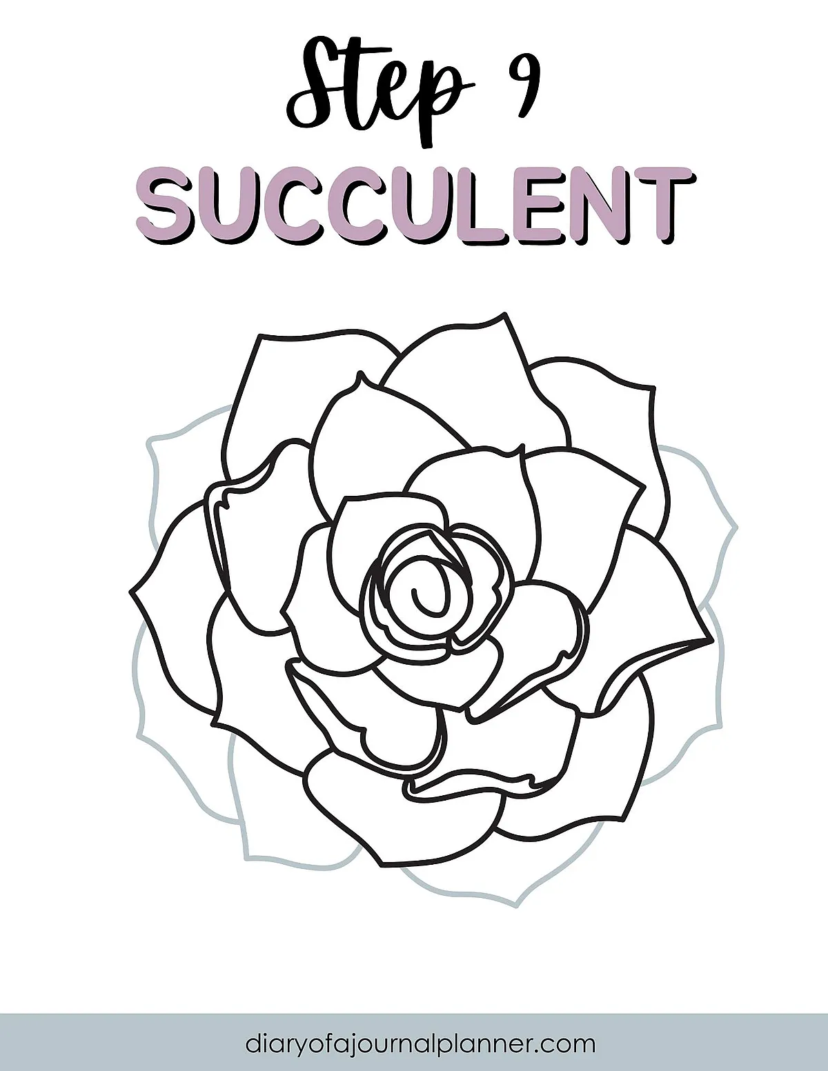 Step 9: Learn to draw a succulent, detailed outline of a blooming flower. Perfect for journals and planners.