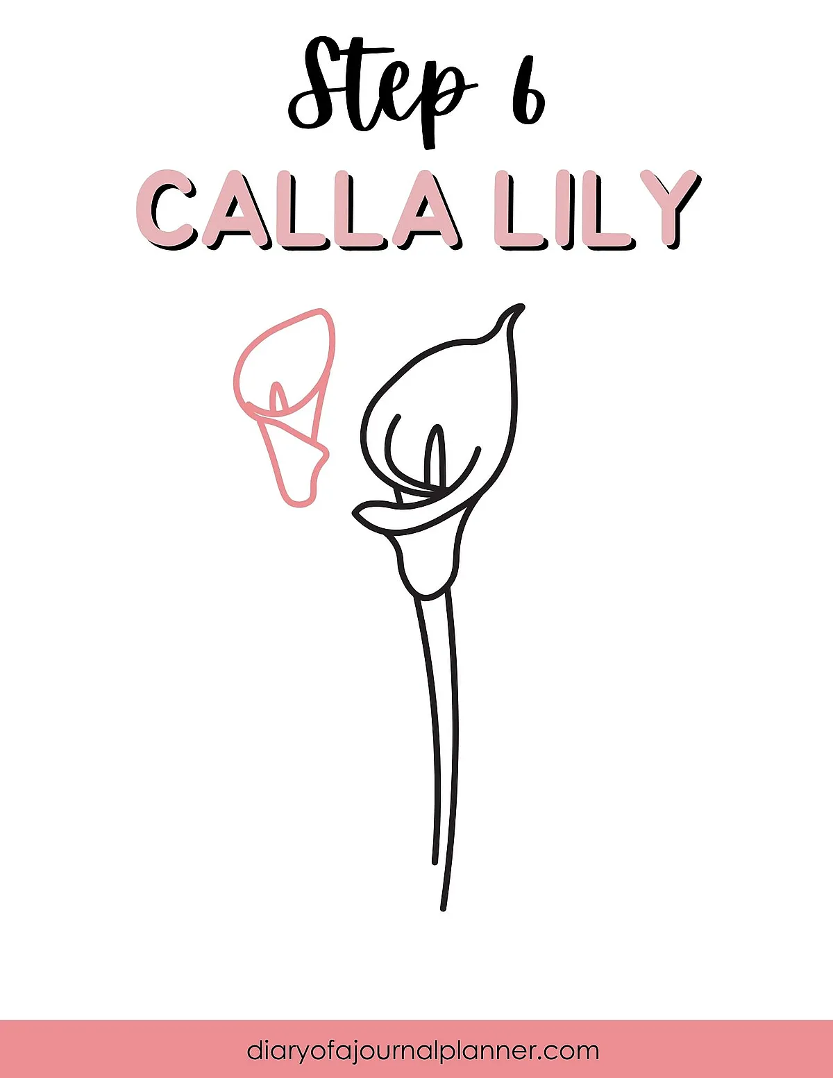 Illustration tutorial: Step 6 for drawing a calla lily, with simple line art and instructional text.