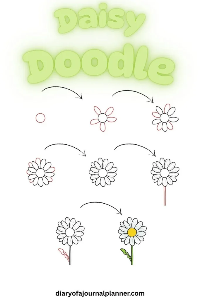 Step-by-step guide to drawing a daisy, from outline to coloring.