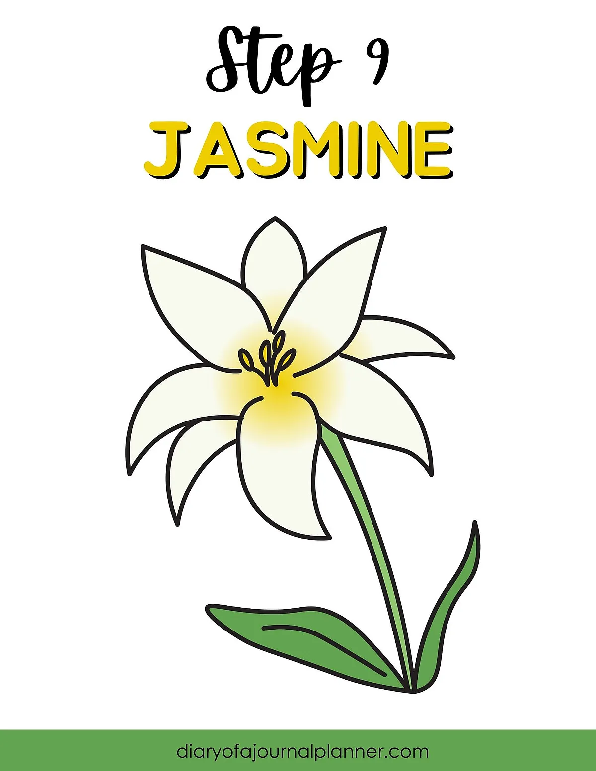 Illustration of a jasmine flower drawing, step 9 tutorial, with white petals and green leaves.