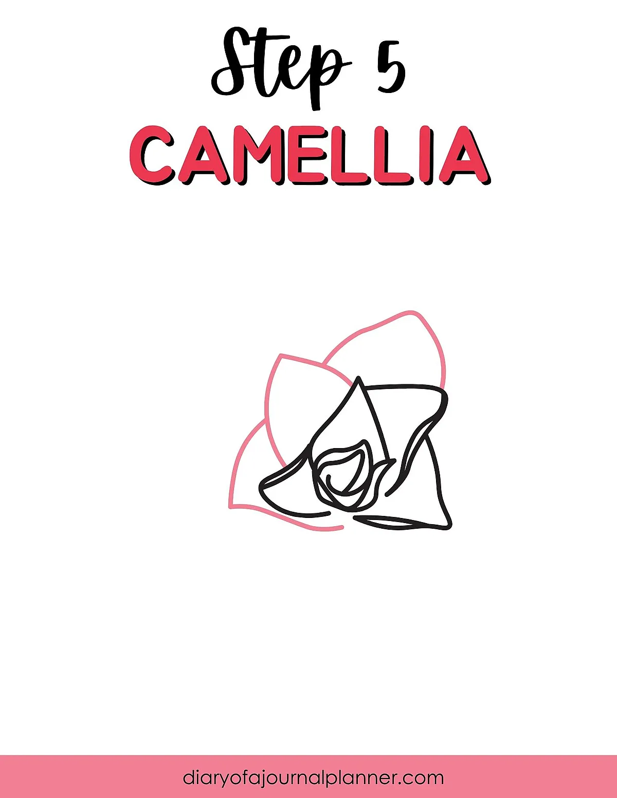 How to draw a camellia flower, step 5: simple line art guide for beginners in floral illustration.