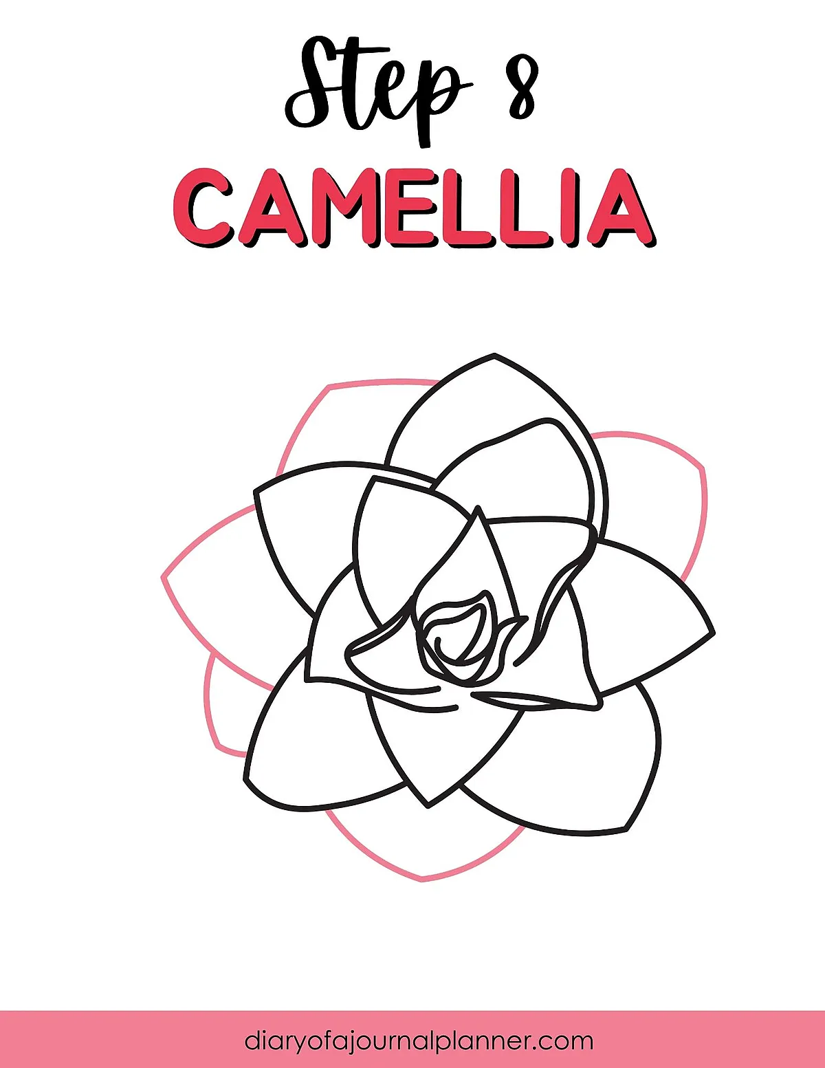 Step 8: Drawing a Camellia flower outline with layered petals on a white background.