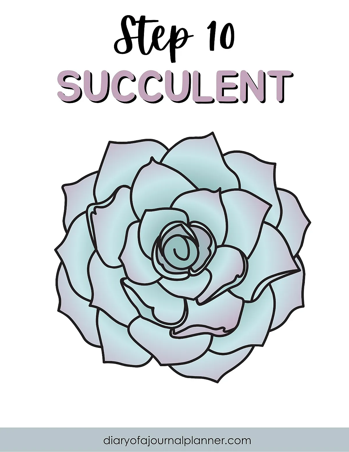 Step 10 Succulent drawing guide with a pastel-colored sketch on a white background.