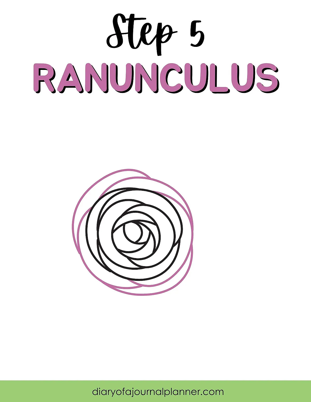 Step 5: Simple guide to drawing a Ranunculus flower with layered petals.