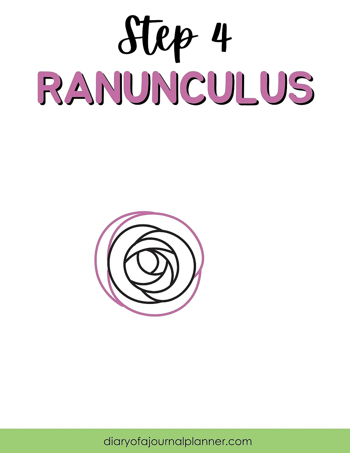 Step 4 of drawing a ranunculus flower with overlapping circles and petals, illustration tutorial.