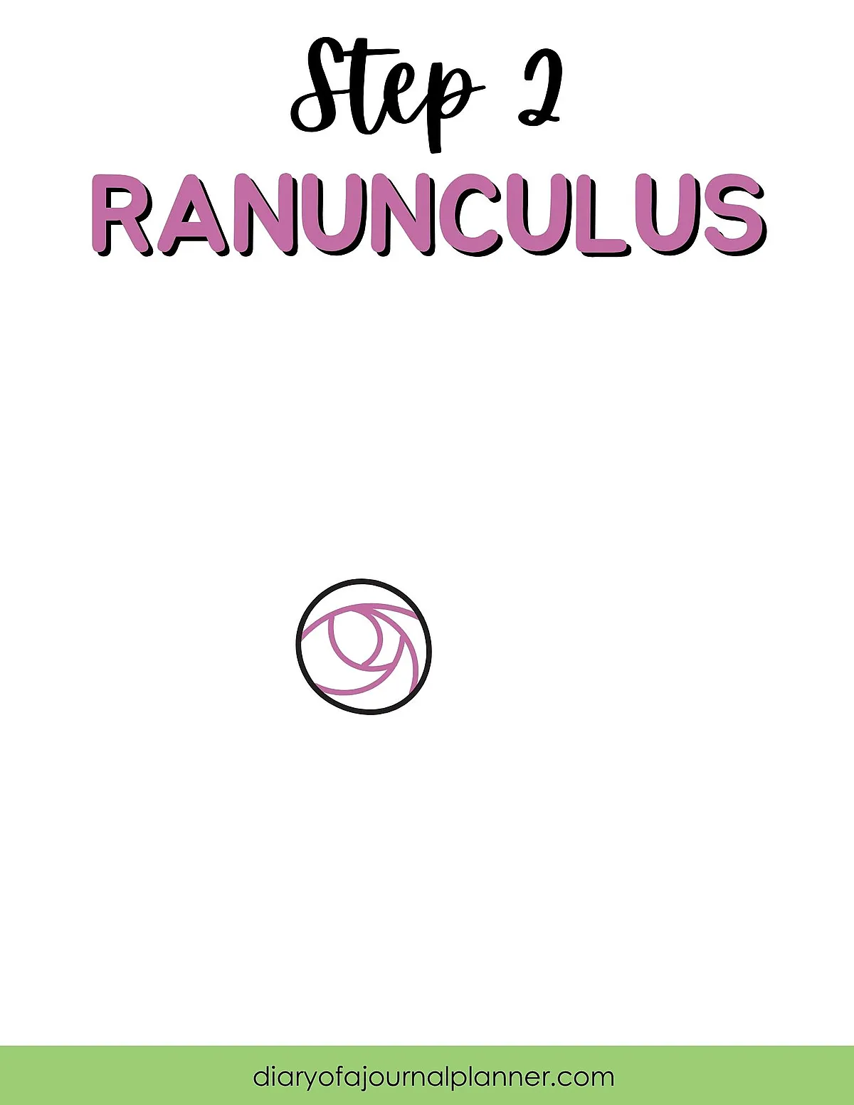 Ranunculus drawing step 2: Simple flowering outline tutorial, minimalist floral art design guide.