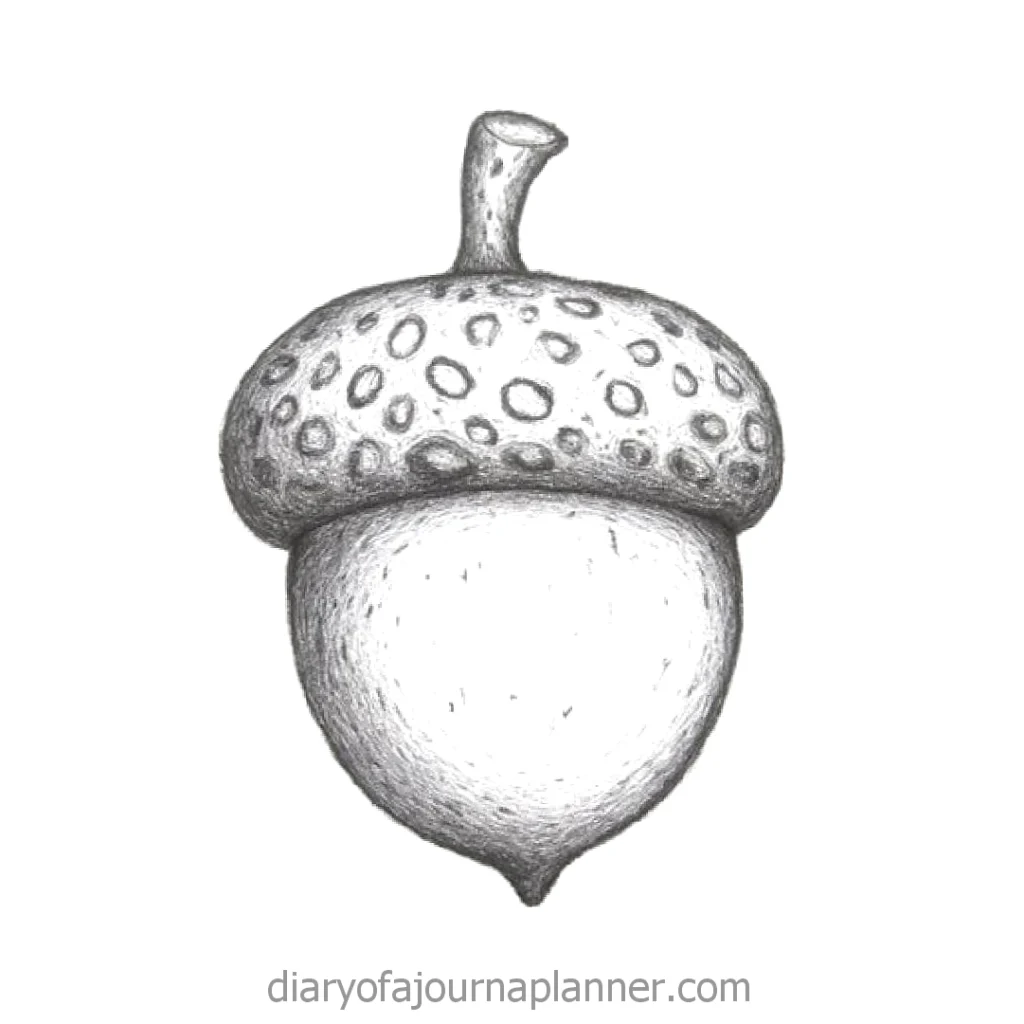Hand-drawn acorn illustration with textured cap and smooth body, showcasing detailed pencil shading on a white background.