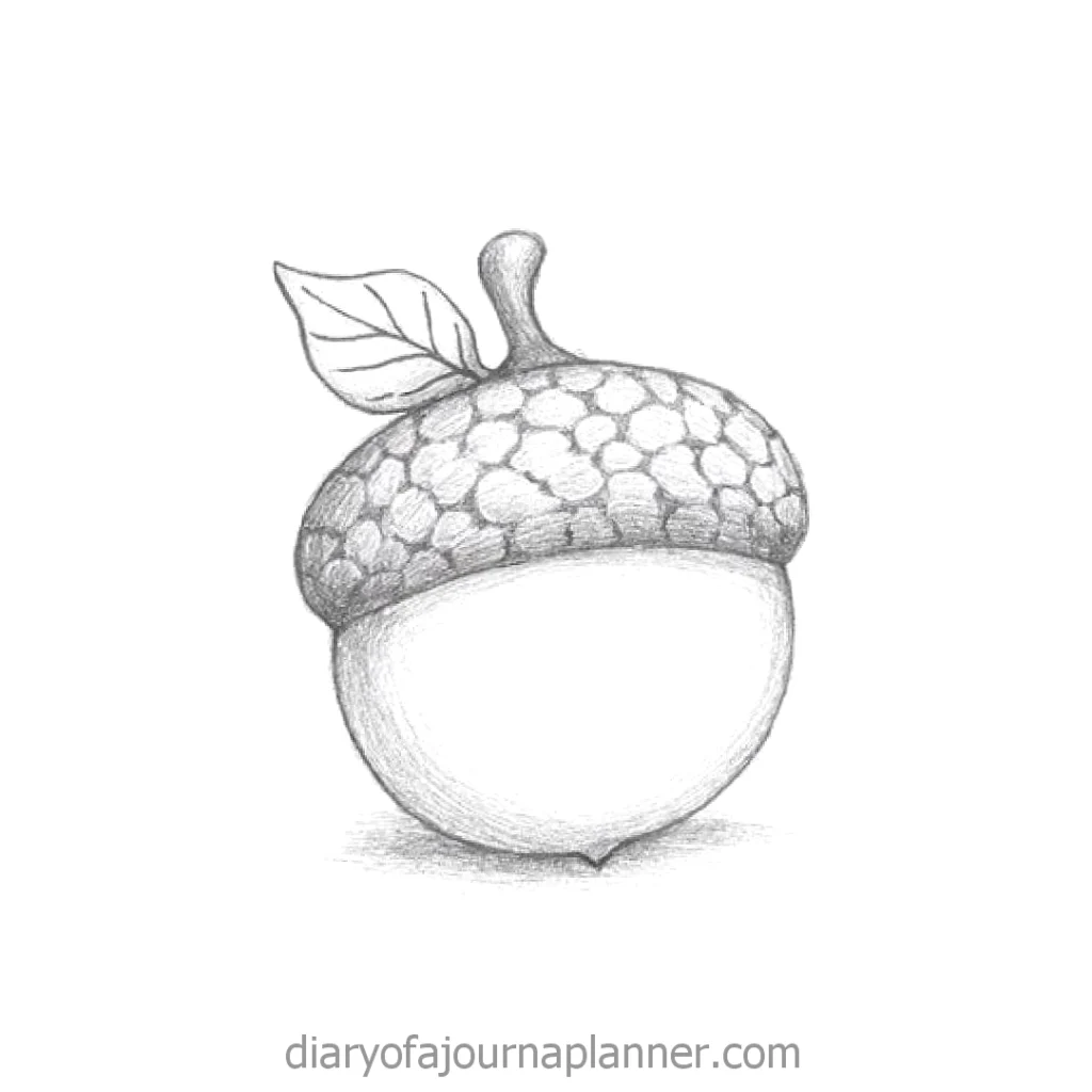 Hand-drawn acorn illustration with a leaf, emphasizing natural simplicity and artistic detail.