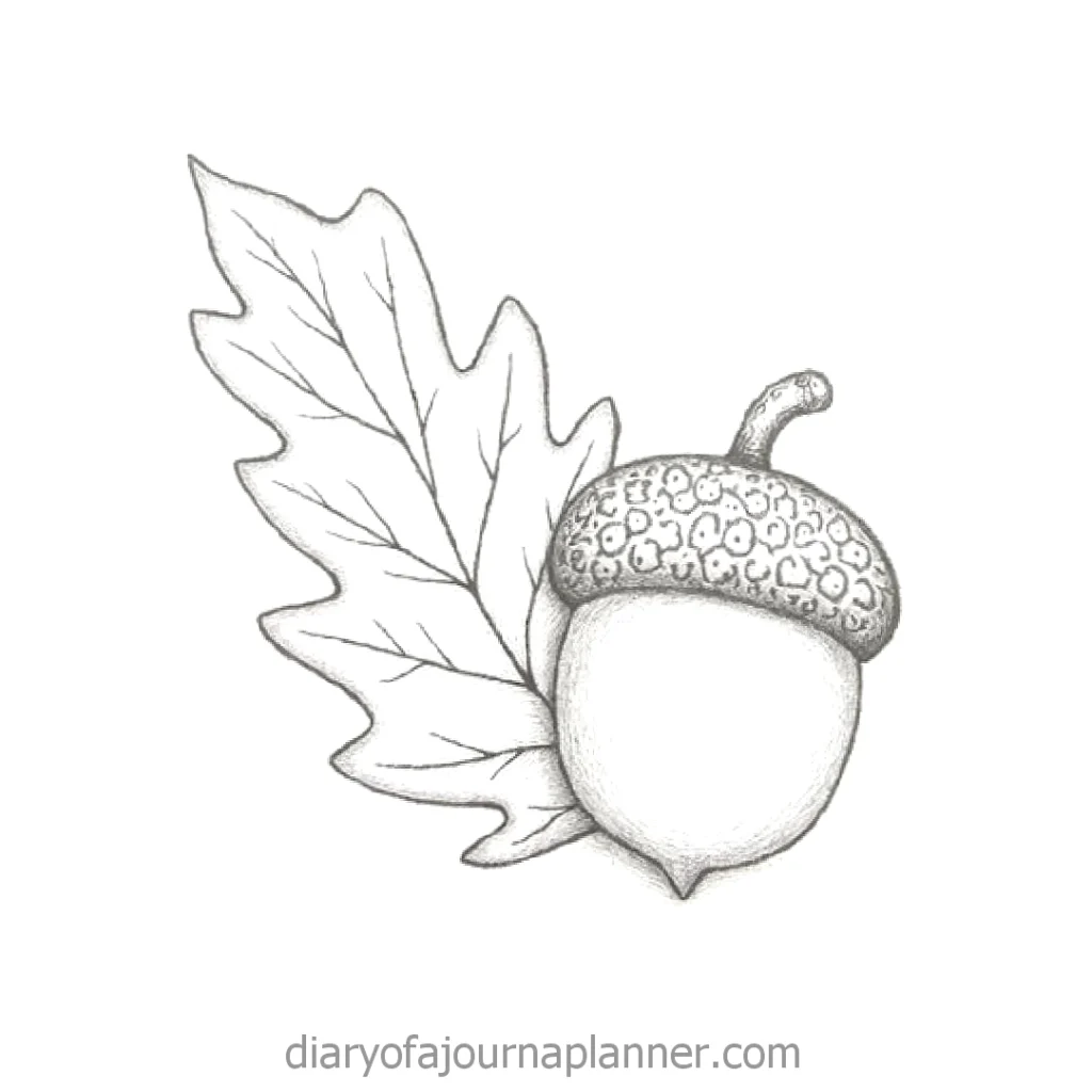 Black and white sketch of an acorn and oak leaf, ideal for autumn-themed designs and illustrations.