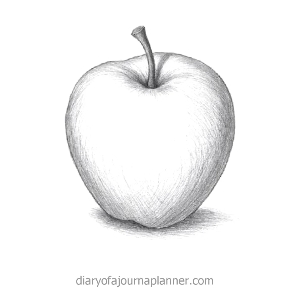 Pencil sketch of an apple with detailed shading, showcasing texture and form on a white background.