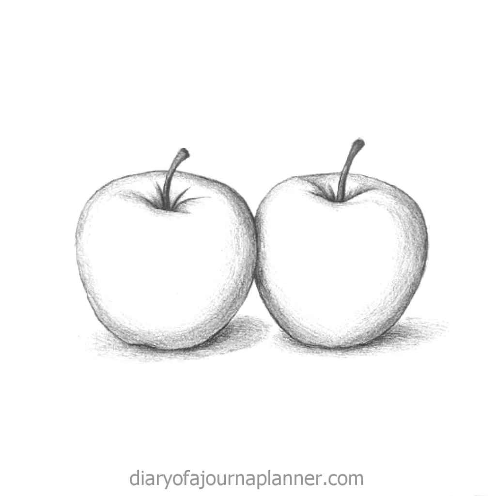 Illustration of two shaded apples with stems on a white background.
