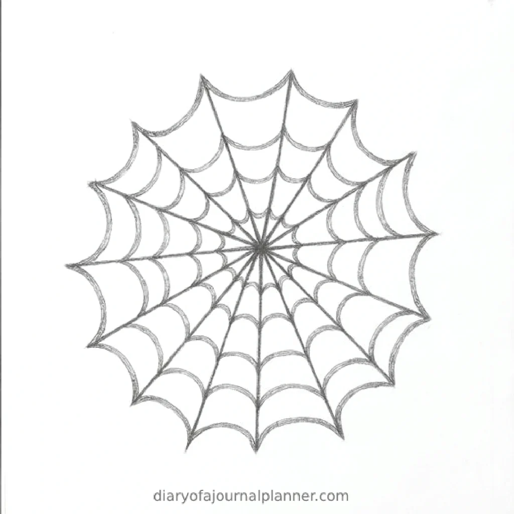 Hand-drawn spider web sketch on white background, showing intricate geometric patterns.