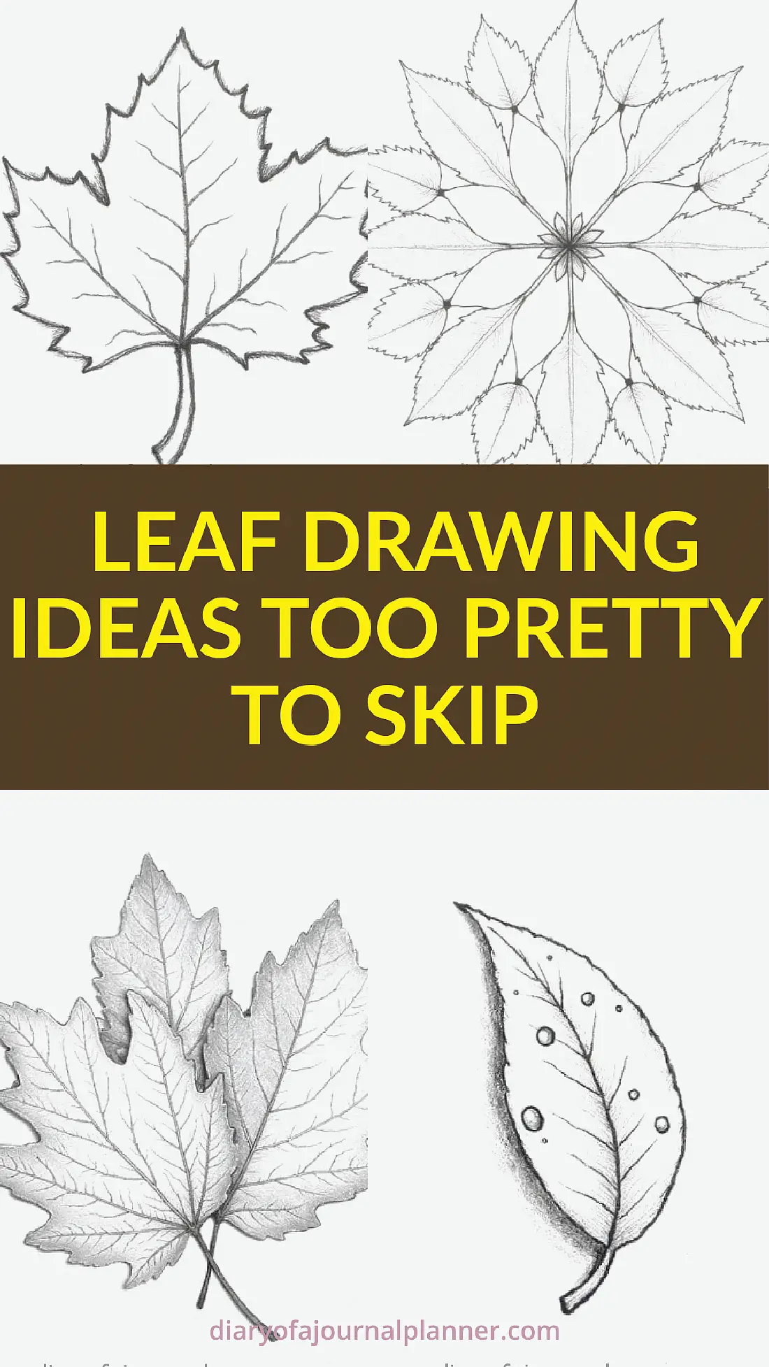 Drawing ideas featuring diverse leaf designs, showcasing creativity in sketching nature-inspired patterns.