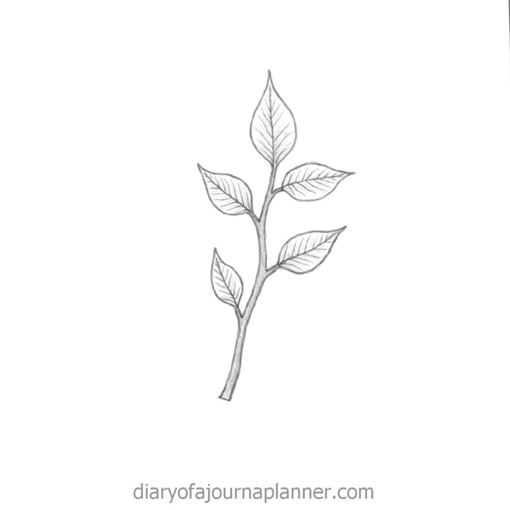 Simple pencil sketch of a plant stem with leaves on a white background.