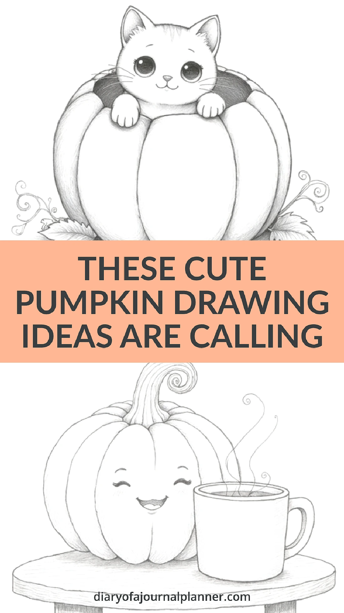Cute pumpkin drawing ideas with a cat inside and a happy pumpkin with coffee; creative sketch inspiration.