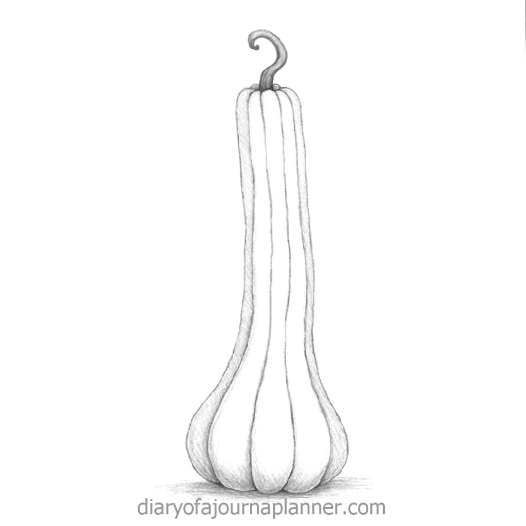 Illustrated drawing of a uniquely shaped, long gourd with a curved stem.