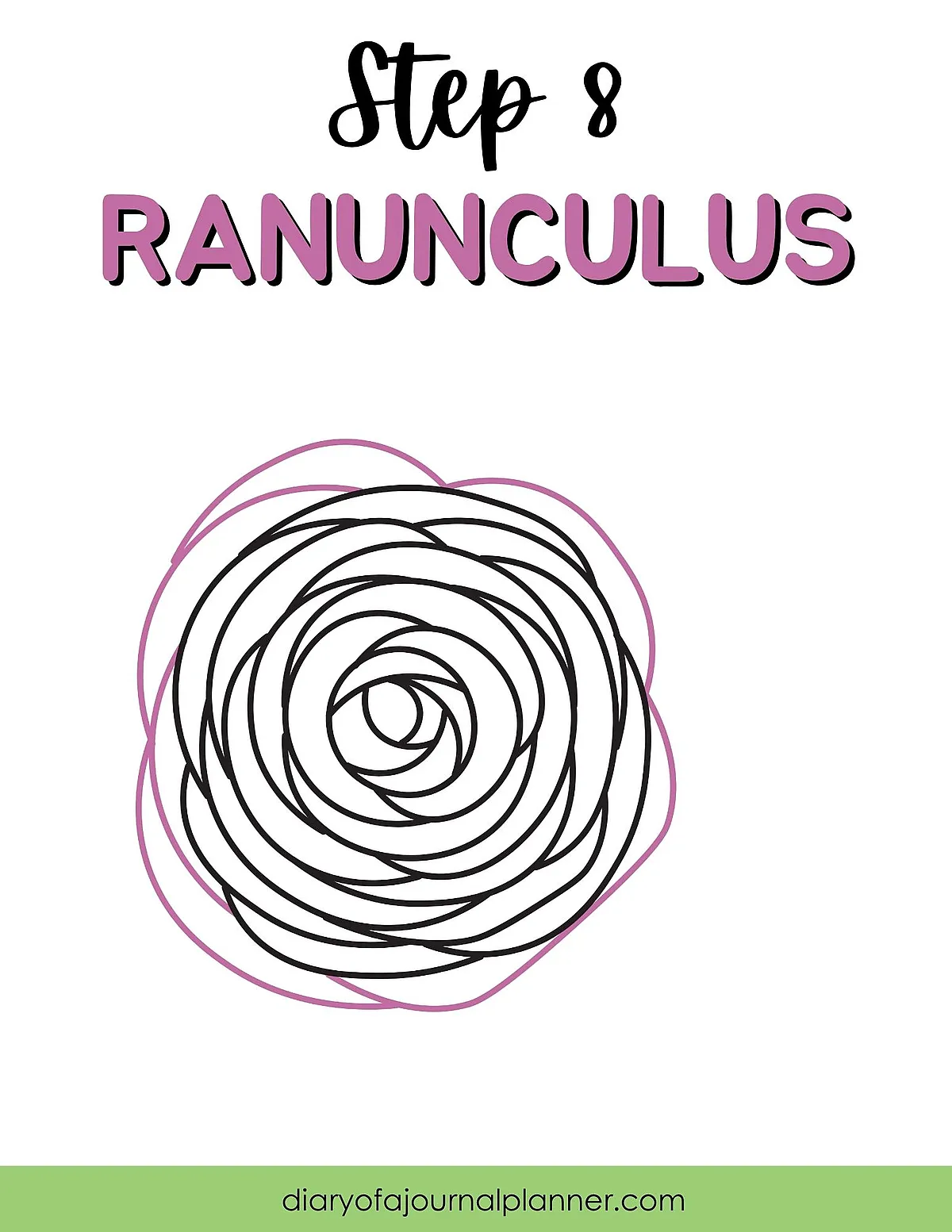 Step 8: How to Draw a Ranunculus - Simple Flower Drawing Guide